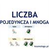 LICZBA POJEDYNCZA I MNOGA