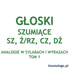 ANALOGIE W SYLABACH I WYRAZACH TOM 1 - GŁOSKI SZUMIĄCE SZ, Ż/RZ, CZ, DŻ