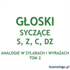 ANALOGIE W SYLABACH I WYRAZACH TOM 2 - GŁOSKI SYCZĄCE S, Z, C, DZ