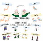LICZBA POJEDYNCZA I MNOGA