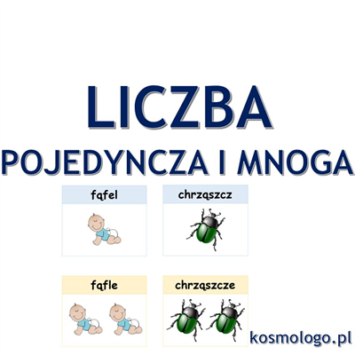 LICZBA POJEDYNCZA I MNOGA