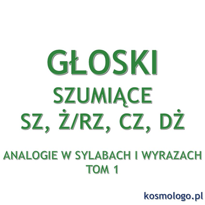 ANALOGIE W SYLABACH I WYRAZACH TOM 1 - GŁOSKI SZUMIĄCE SZ, Ż/RZ, CZ, DŻ