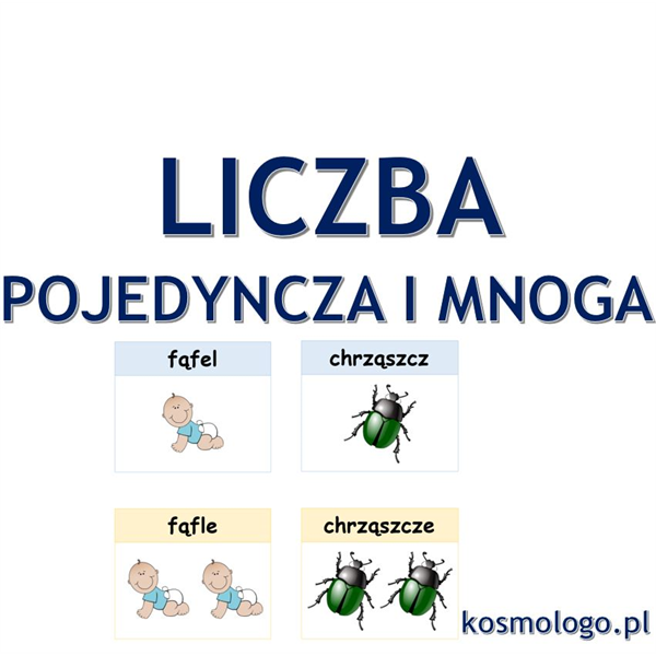 LICZBA POJEDYNCZA I MNOGA